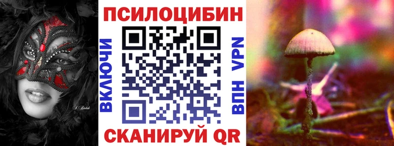 Псилоцибиновые грибы мицелий  Бабушкин 